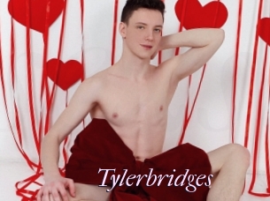 Tylerbridges