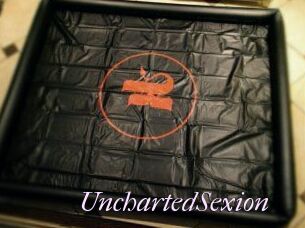 UnchartedSexion