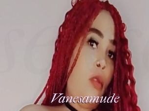 Vanesamude