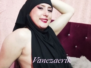 Vanezaerik