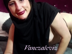 Vanezaleviz