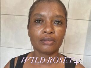 WILD_ROSEY40