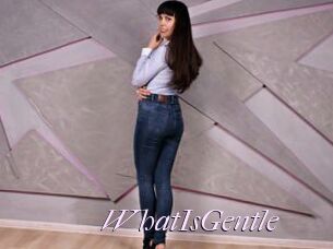 WhatIsGentle