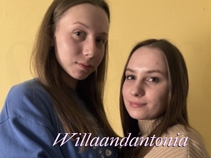 Willaandantonia