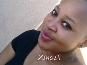 ZinziX