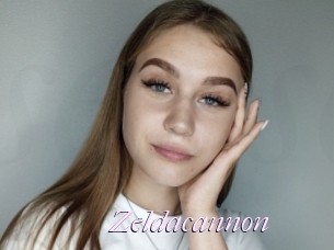 Zeldacannon